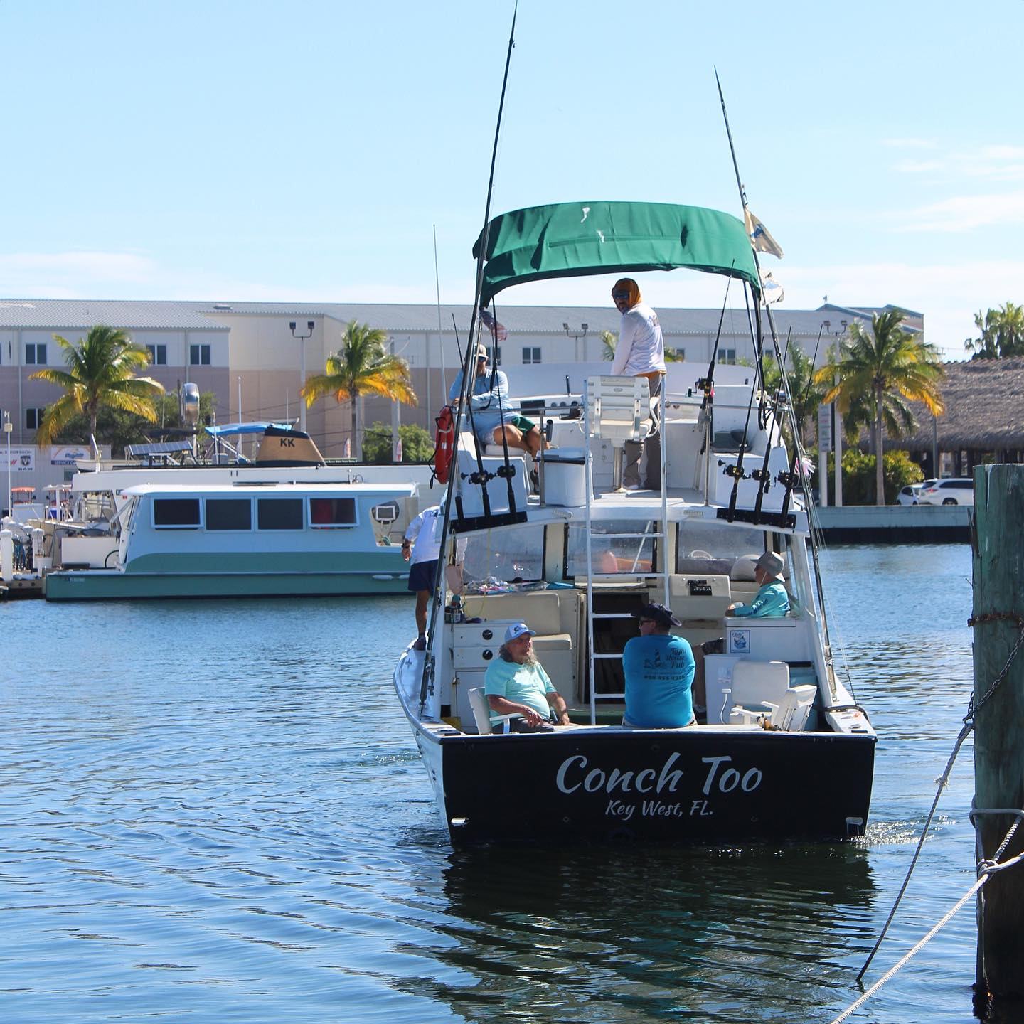 Conch Too rear view